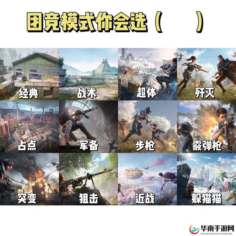 深入解析和平精英，策略布局与实战技巧如何完美融合制胜