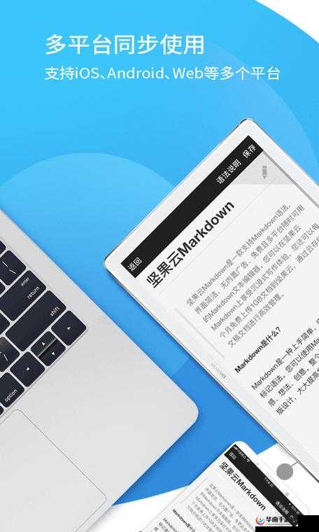 成品网源码 78w78 的特点：强大功能与创新设计的融合