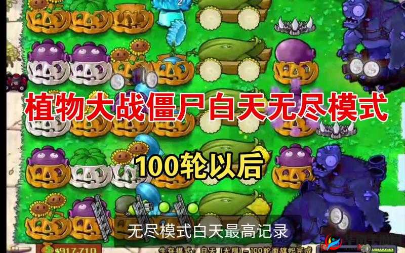 植物大战僵尸无尽模式攻略，解锁并运用最佳阵容的制胜秘籍全解析
