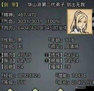 放置江湖中负神高影响及应对策略，掌握资源管理的艺术与技巧