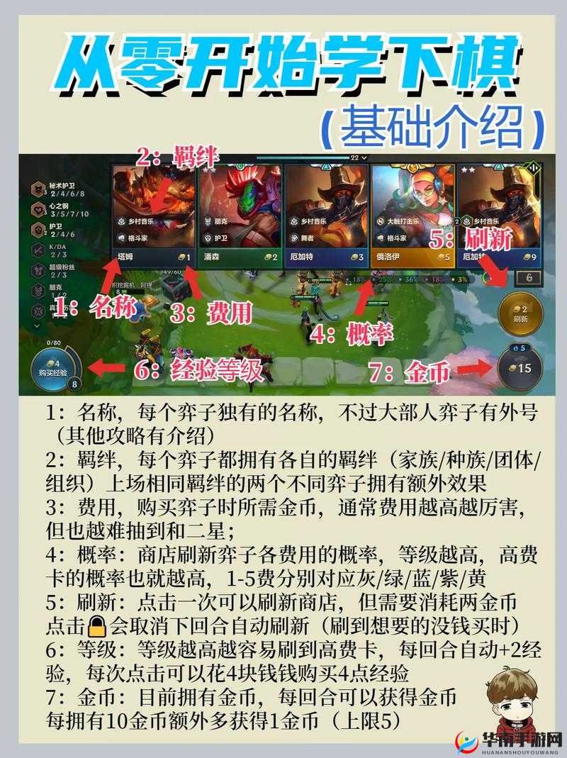 金铲铲之战全面解析，新手快速入门与成长策略指南