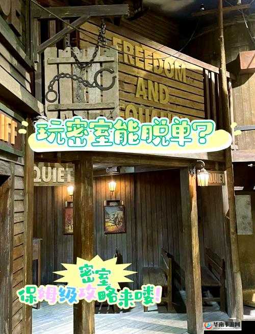 密室逃脱24，一场充满刺激与挑战，展现智慧与策略的精彩碰撞