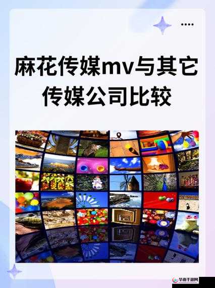 如何评价麻花传剧原创 mv 在线看中文版？