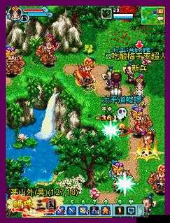 新明珠三国中，武将职业究竟有何魅力，竟能吸引无数玩家竞相追捧？