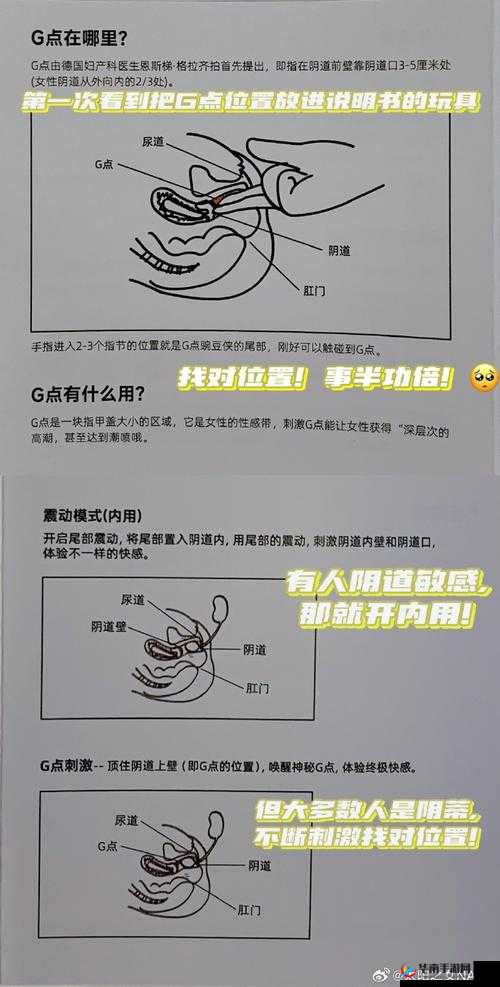 free性娇小HD摘花第一次体验分享：详细步骤与实用技巧大揭秘