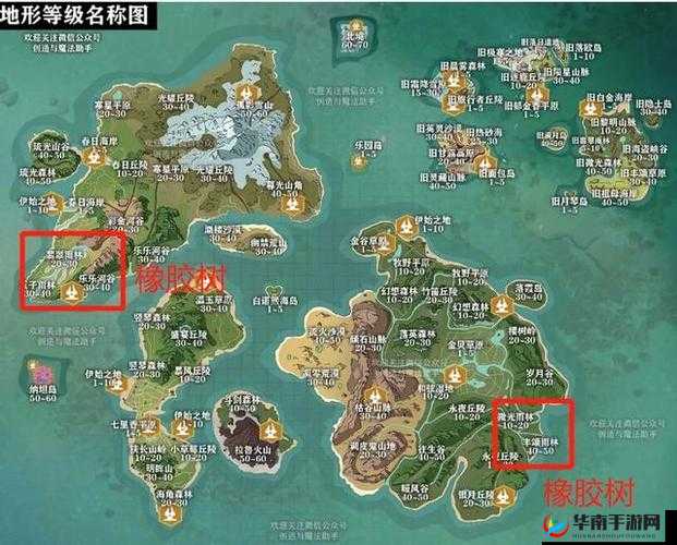 创造与魔法游戏中，橡胶树究竟分布在哪些区域？探索之旅即将启程！