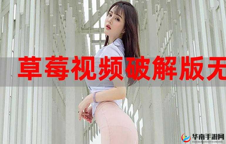破解版看了么破解无限版：免费观看高清影视资源的终极指南与使用技巧