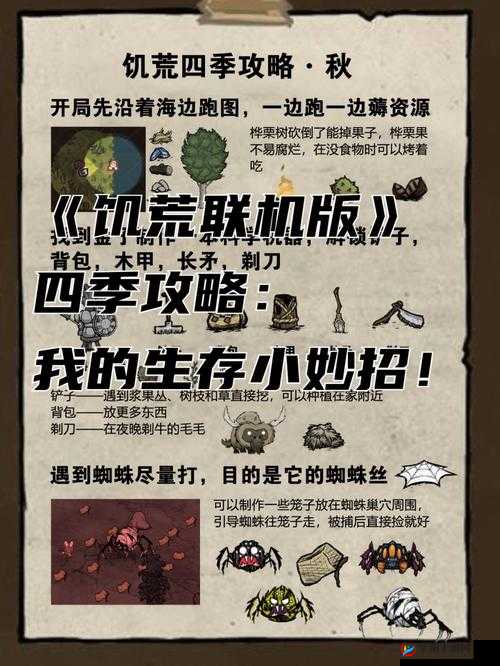 饥荒火女究竟有何独特之处？玩法、剧情与玩家适配全面剖析