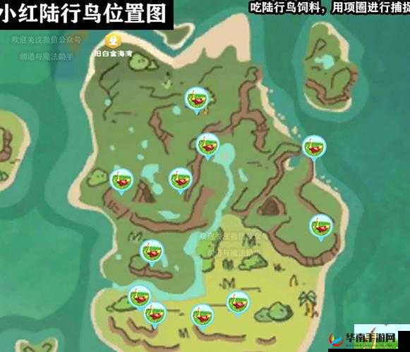 创造与魔法潮流陆行鸟来袭，它会如何预见并引领未来的玩法革命？