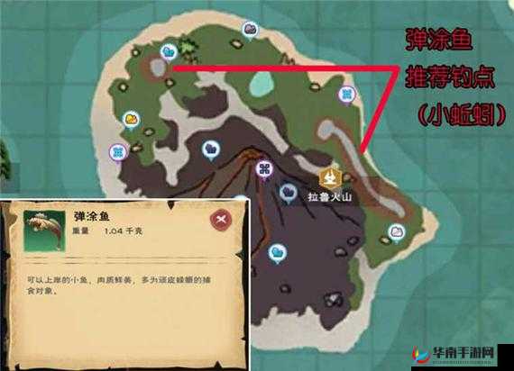 创造与魔法游戏中，弹涂鱼究竟隐藏在哪片神秘水域等待捕捉？