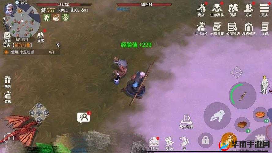 冰原守卫者如何抉择龙之力加点顺序，实现资源高效利用与价值最大化？