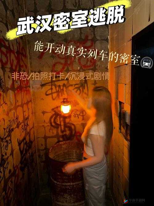 密室逃脱救奶奶，这场智慧与勇气的冒险之旅能否成功？