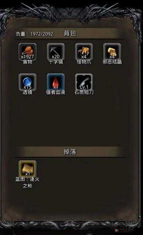地下城堡2传奇纹章究竟隐藏何种奥秘？深度解析带你探寻珍稀纹章！