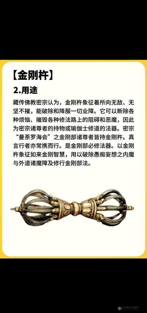 三杵金刚入莲花的深层含义解析：探索佛教法器与莲花的象征意义
