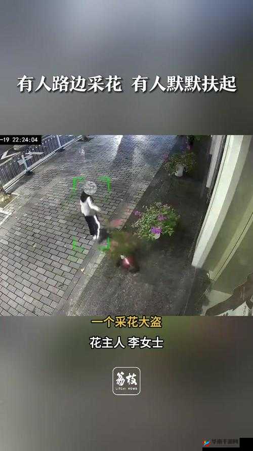 惊现性摘花视频揭秘背后的真实故事与惊人细节，网友热议不断