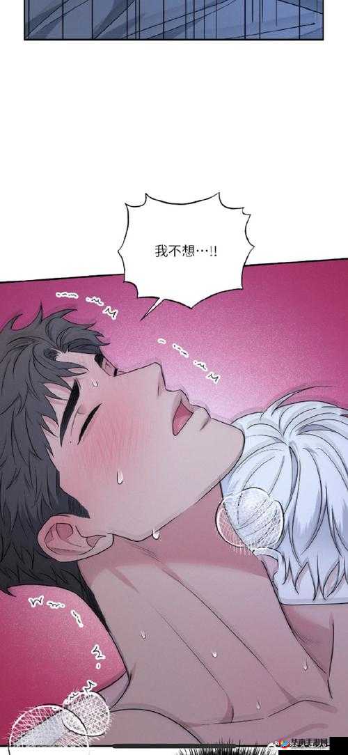 探究 jm 天堂禁漫 177173 成人生态背后的秘密