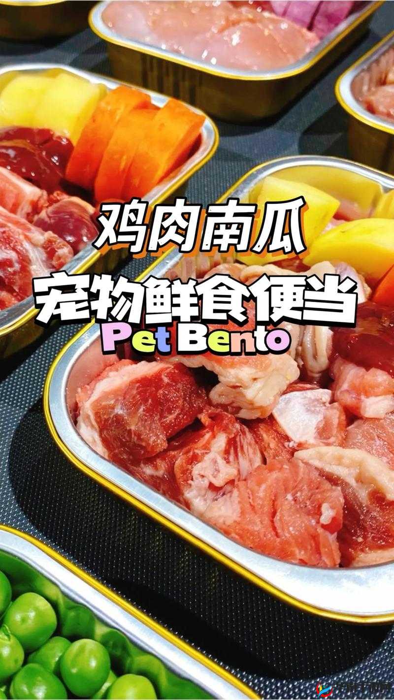 宠物美食诱捕秘籍，哪些食材能让你的宠物爱不释手，你知道吗？