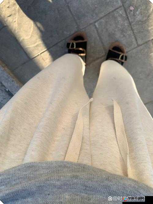一条腿的重量是多少？这个问题困扰了我很久，你能帮我解答吗？