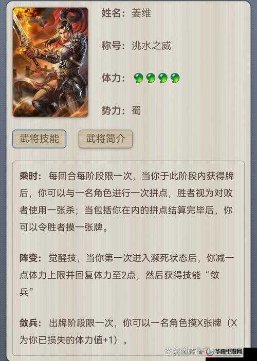 猛将兄留步！揭秘姜维全攻略，这位武将究竟有何非凡之处？