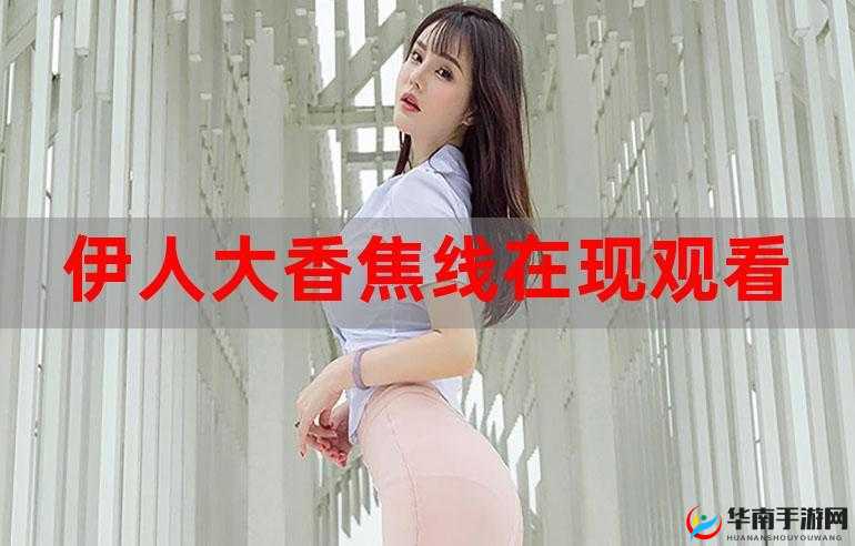 7777精品伊人久久久大香线蕉会员专区究竟有何独特魅力？快来一探究竟