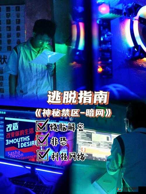 探秘秘密网站入口，究竟隐藏着怎样不为人知的秘密与精彩？快来一探究竟