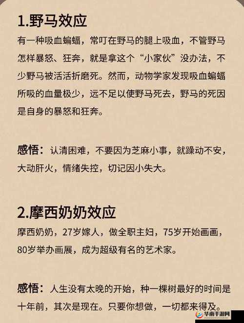 万王之神如何一键变强？底层逻辑与实战操作深度解析揭秘！